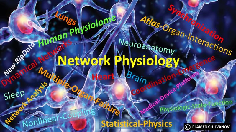 network physiology